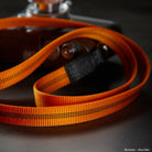 Oranger reflektierender Hundeführleine mit schwarzen Akzenten und Metallteilen